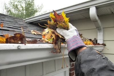 Roofing and Gutter Experts